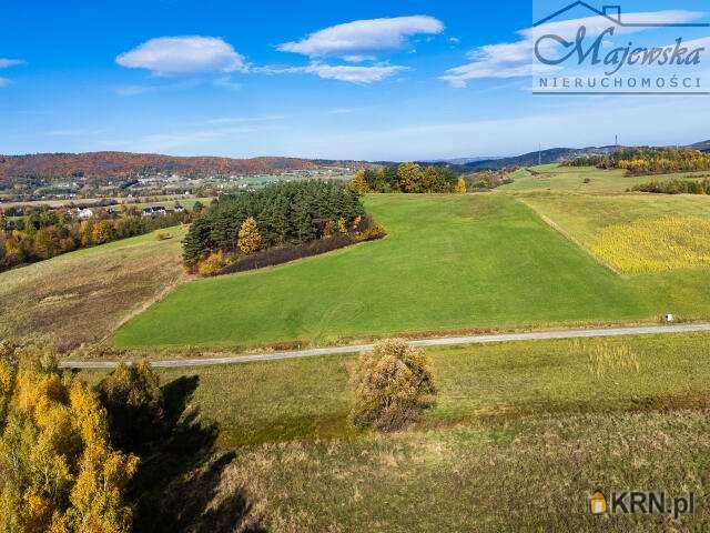 Działki  na sprzedaż, , Wiśniowa, ul. 