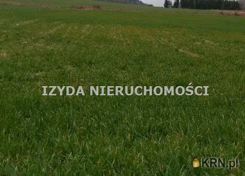 Działki  na sprzedaż, Witoszów Dolny, ul. , 