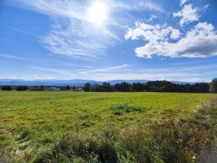 Działki  na sprzedaż, , Wojcieszyce, ul. 