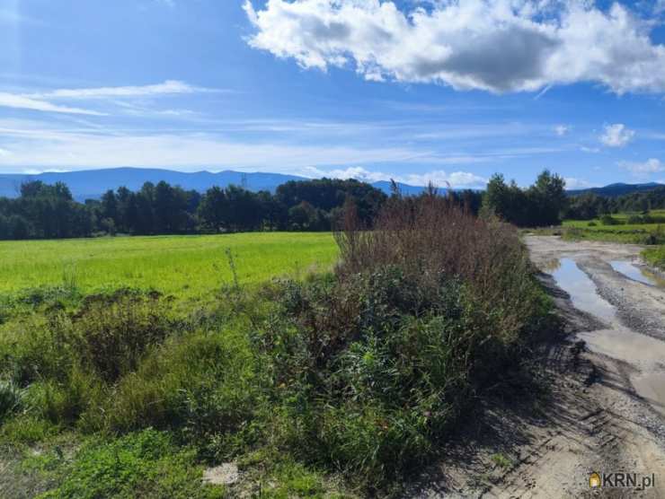 Wojcieszyce, ul. , Działki  na sprzedaż, 