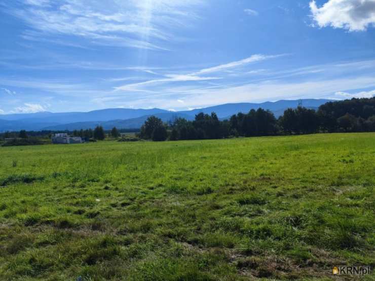 Wojcieszyce, ul. , , Działki  na sprzedaż