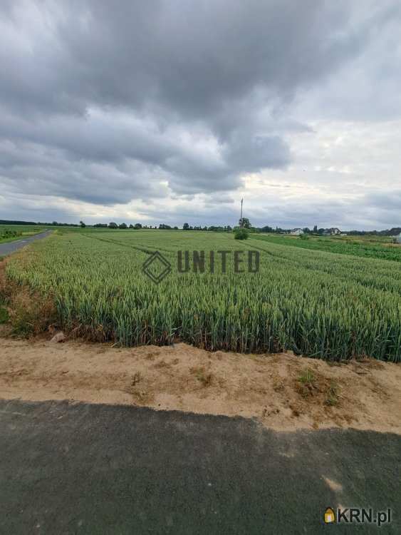 Wszemirów, ul. , , Działki  na sprzedaż