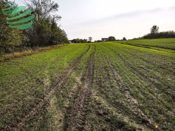 , Działki  na sprzedaż, Zakrzewo, ul. 