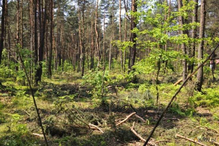 Działki  na sprzedaż, Żarki-Letnisko, ul. , 