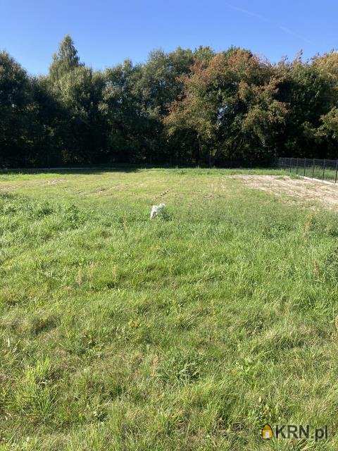 Działki  na sprzedaż, Zawonia, ul. , 