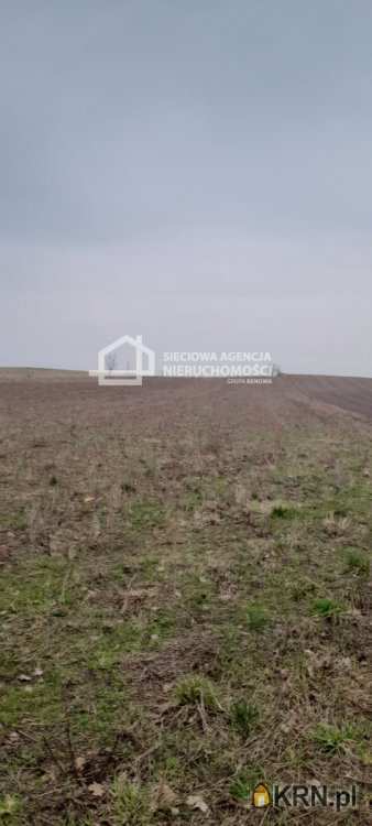 Działki  na sprzedaż, , Skorzewo, ul. 