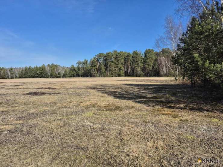 Anastazew, ul. , Działki  na sprzedaż, 