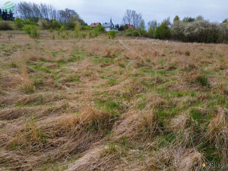 Działki  na sprzedaż, Rusinowo, ul. , 