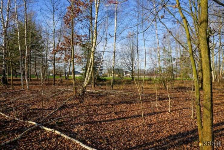 Działki  na sprzedaż, Grądy, ul. , 