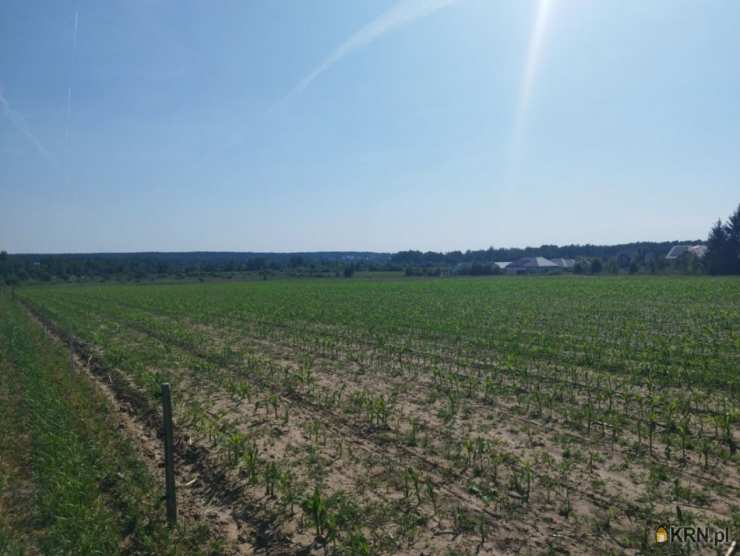 Działki  na sprzedaż, Jurowce, ul. , 