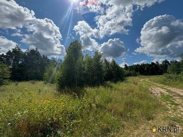 Działki  na sprzedaż, , Czapielsk, ul. 