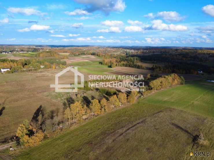 Sieciowa Agencja Nieruchomości Grupa Renoma, Działki  na sprzedaż, Borzestowo, ul. 