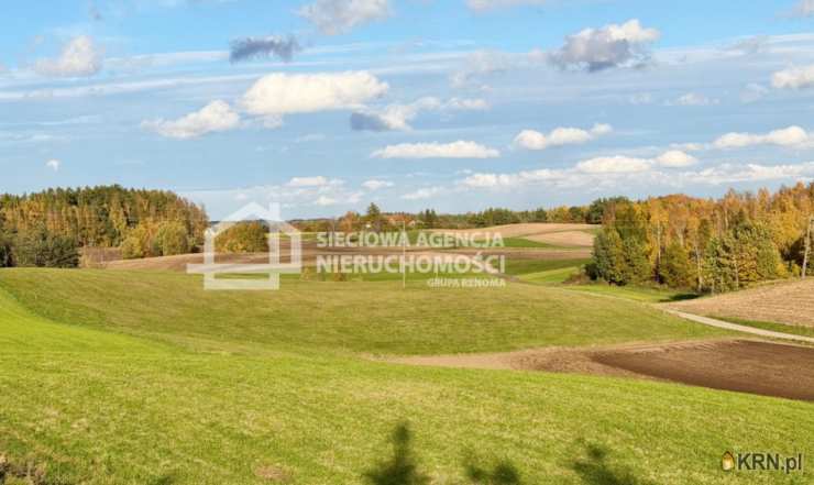 Działki  na sprzedaż, Borzestowo, ul. , 