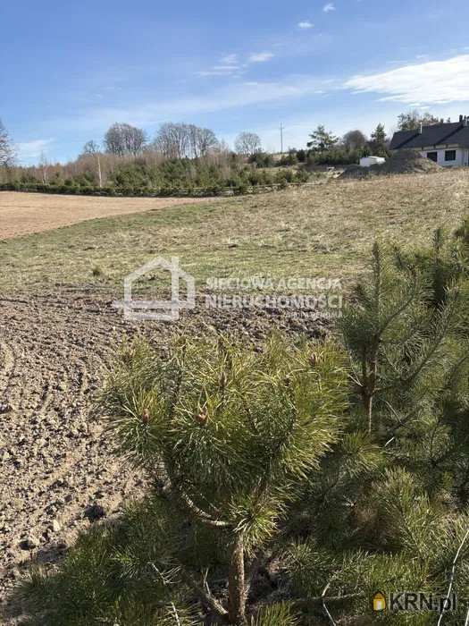 Grabowiec, ul. , , Działki  na sprzedaż