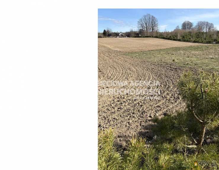 Sieciowa Agencja Nieruchomości Grupa Renoma, Działki  na sprzedaż, Grabowiec, ul. 