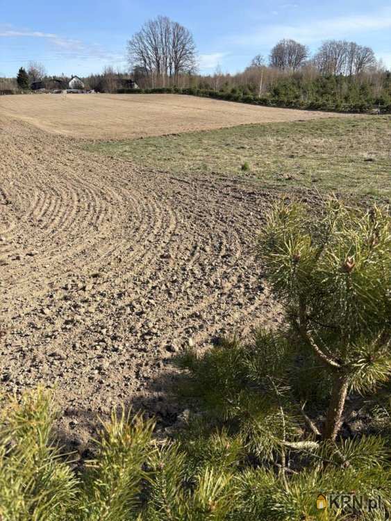 Działki  na sprzedaż, Grabowiec, ul. , 
