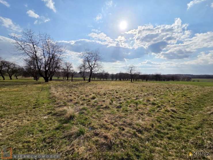Działki  na sprzedaż, , Smardzowice, ul. 