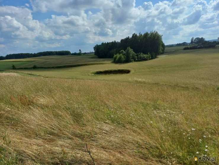 Borzestowska Huta, ul. , Działki  na sprzedaż, 