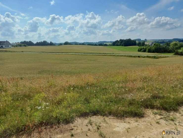 Działki  na sprzedaż, , Borzestowska Huta, ul. 