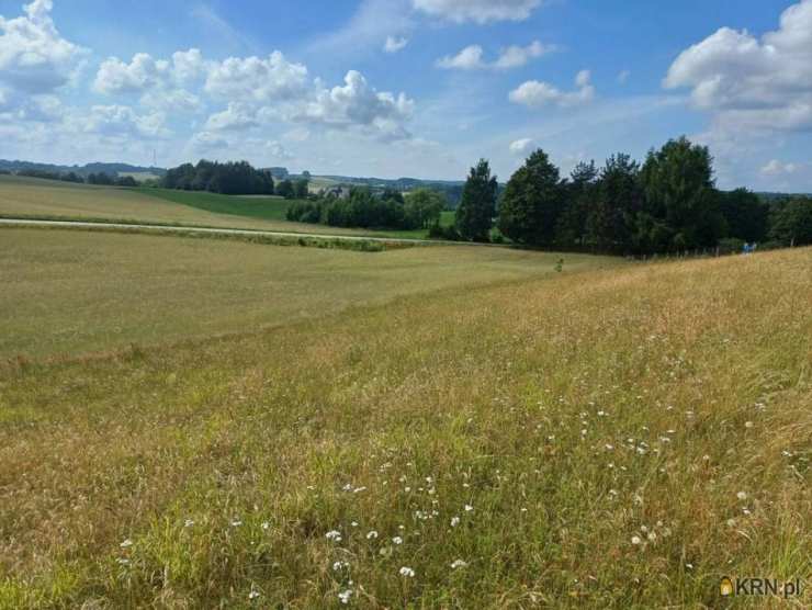 Działki  na sprzedaż, Borzestowska Huta, ul. , 