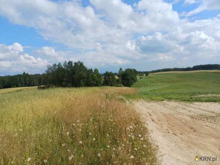 Borzestowska Huta, ul. , , Działki  na sprzedaż