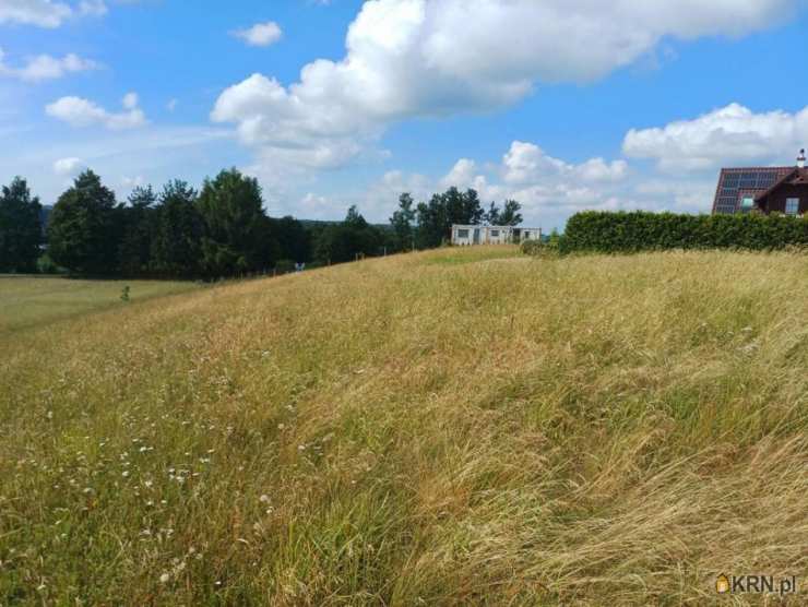 Działki  na sprzedaż, , Borzestowska Huta, ul. 