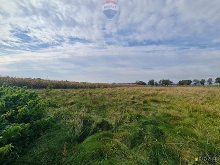 RE/MAX Polska, Działki  na sprzedaż, Pułtusk, ul. 
