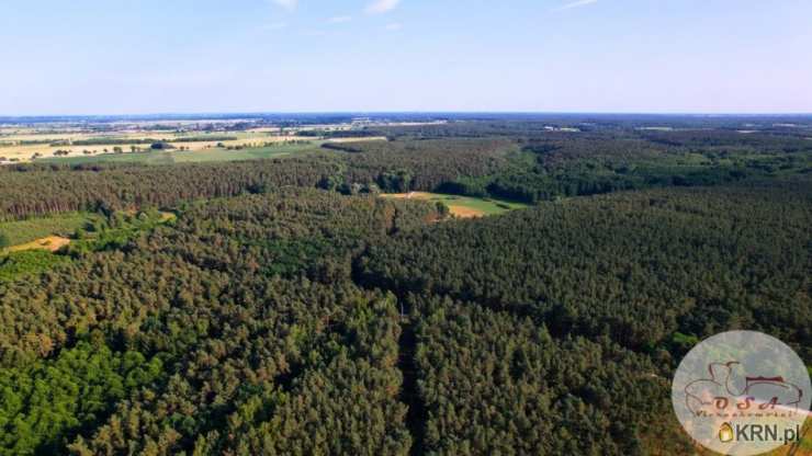 OSA Nieruchomości Sławomira Burdzy, Działki  na sprzedaż, Ostrówek, ul. 