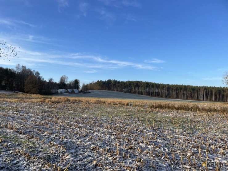 , Bojano, ul. , Działki  na sprzedaż