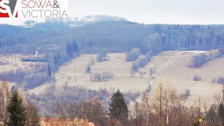 Działki  na sprzedaż, Głuszyca Górna, ul. , 