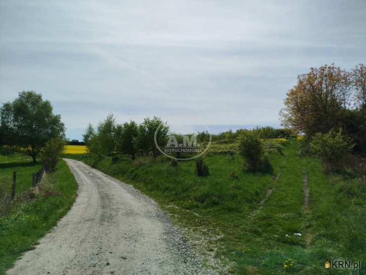 Działki  na sprzedaż, Trzebnica, ul. , 