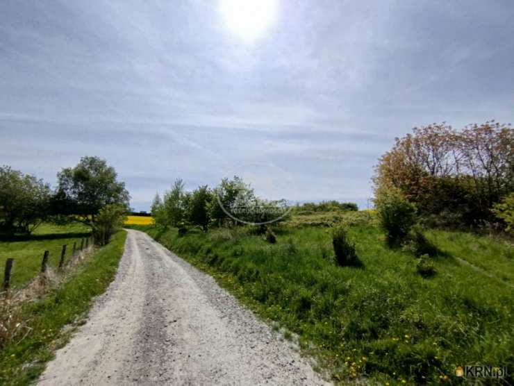 Działki  na sprzedaż, , Trzebnica, ul. 