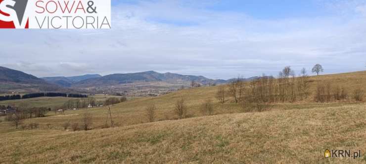 Działki  na sprzedaż, Głuszyca, ul. , 