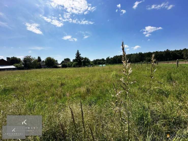 , Działki  na sprzedaż, Rogalice, ul. 