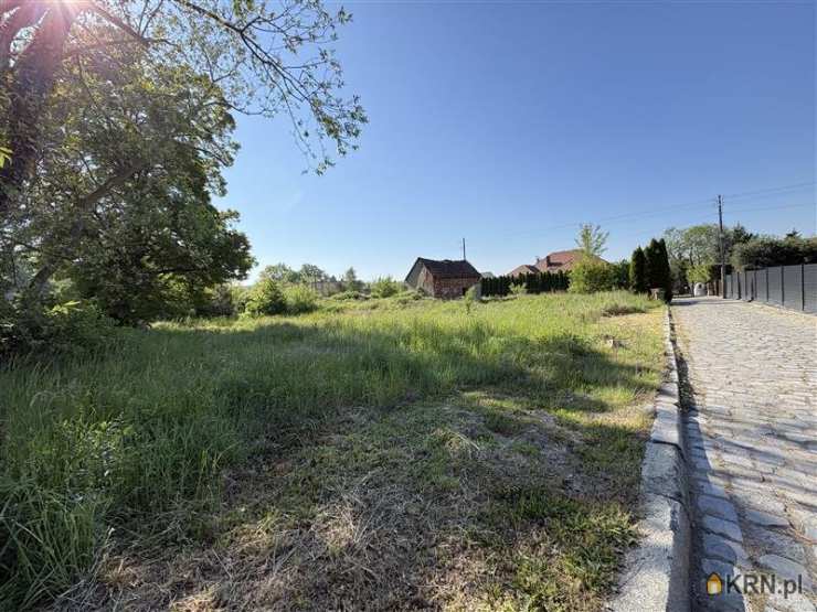 Działki  na sprzedaż, Wilczyn, ul. , 