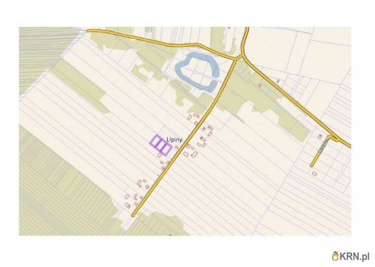Działki  na sprzedaż, Lipiny, ul. , 
