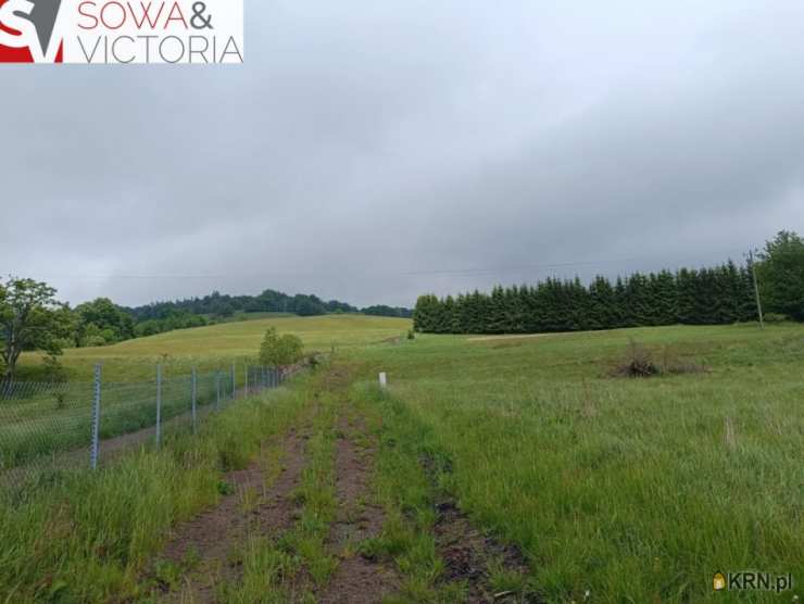 Głuszyca, ul. , Działki  na sprzedaż, 