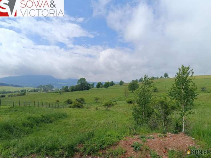 Głuszyca, ul. , , Działki  na sprzedaż