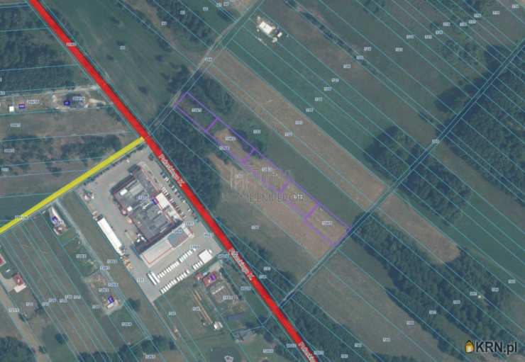 Wyborów, ul. , Działki  na sprzedaż, 