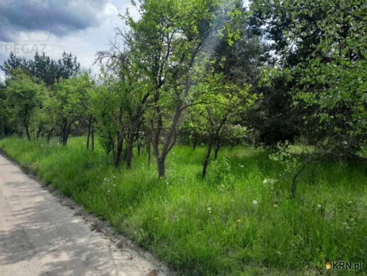 Gorzyca, ul. , Działki  na sprzedaż, 