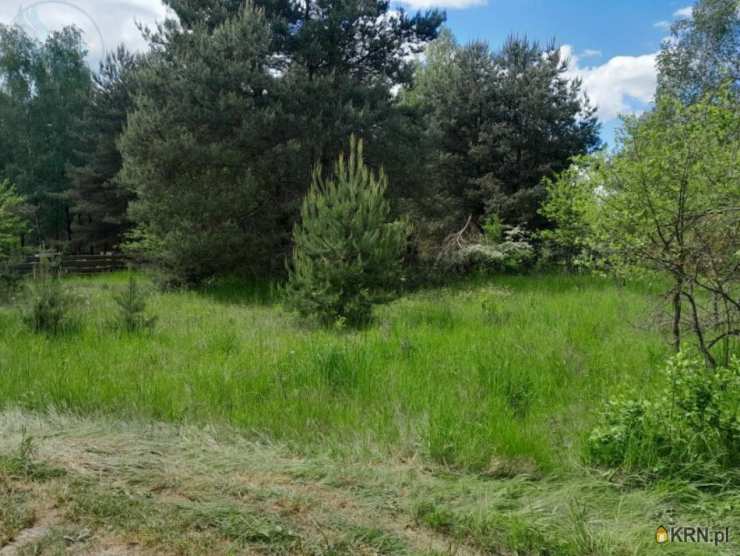 , Działki  na sprzedaż, Gorzyca, ul. 