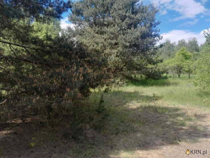 Pegaz Nieruchomości, Działki  na sprzedaż, Gorzyca, ul. 