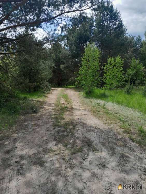, Działki  na sprzedaż, Gorzyca, ul. 