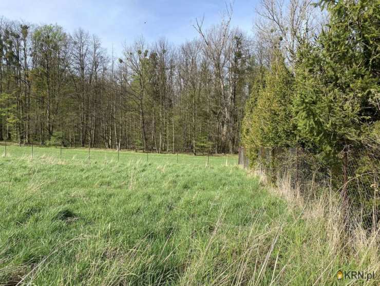 Cisownica, ul. , Działki  na sprzedaż, 