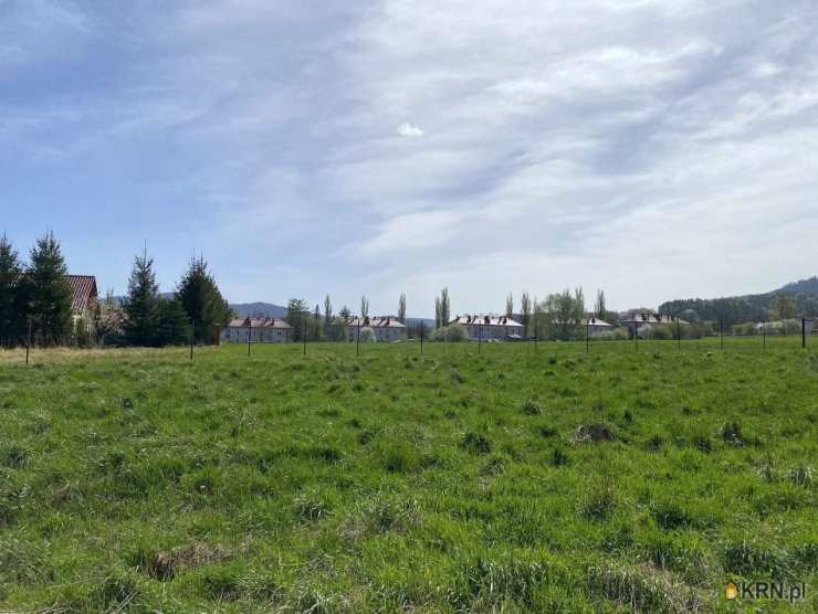 Nieruchomości BETA-KOL Beata Zwolińska-Włosok, Działki  na sprzedaż, Cisownica, ul. 