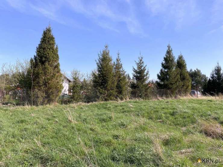 Działki  na sprzedaż, Cisownica, ul. , 