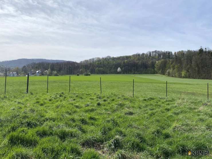 Działki  na sprzedaż, Goleszów, ul. , 