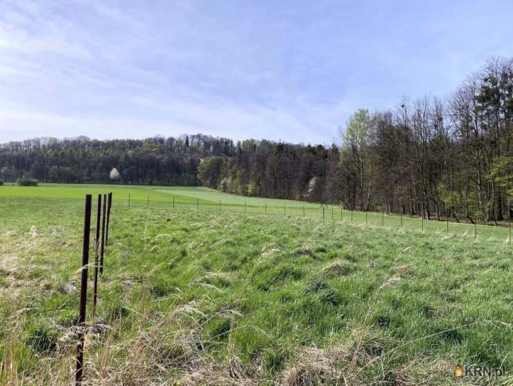 Działki  na sprzedaż, , Goleszów, ul. 