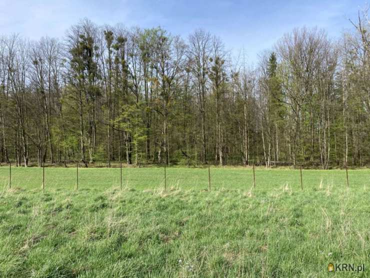 Działki  na sprzedaż, Goleszów, ul. , 