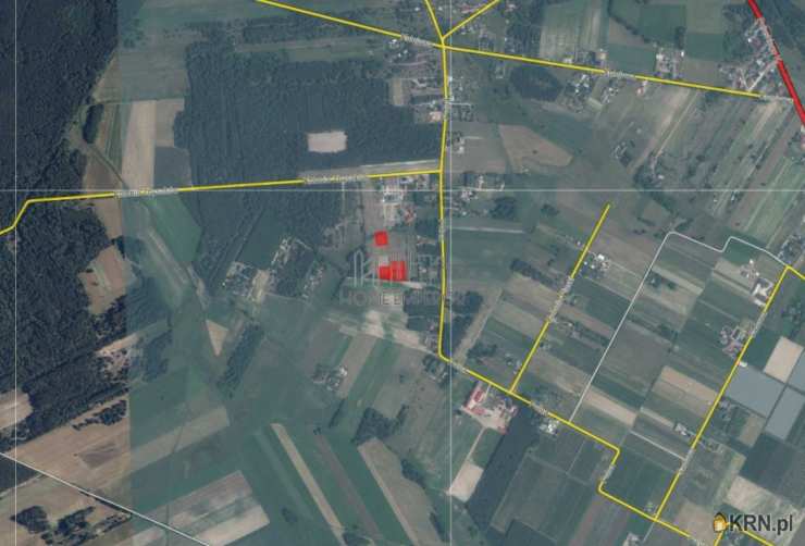 Grabów nad Pilicą, ul. Kolonia Zbyszków, , Działki  na sprzedaż